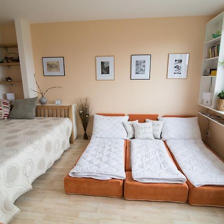Apartman Labe Ústí nad Labem Exteriér fotografie